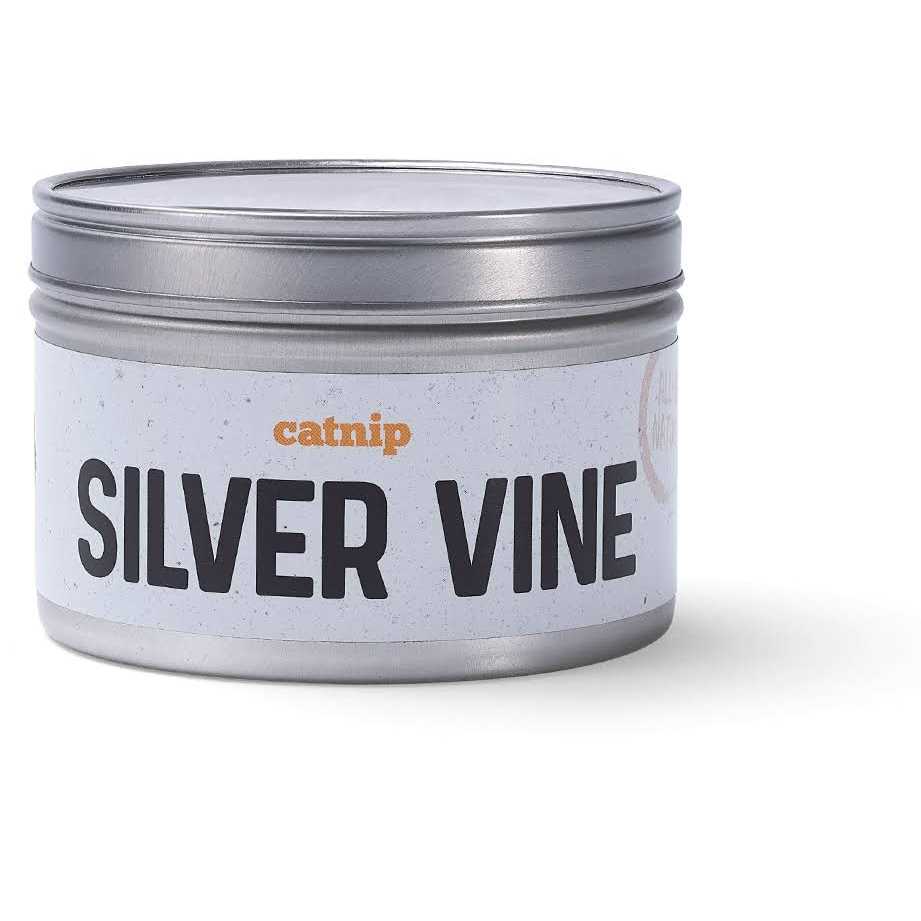 Silver Vine Catnip S273921