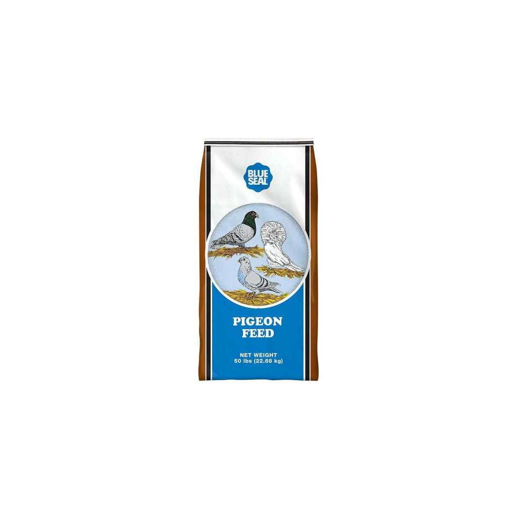 Blue Seal Pigeon Feed B9694
