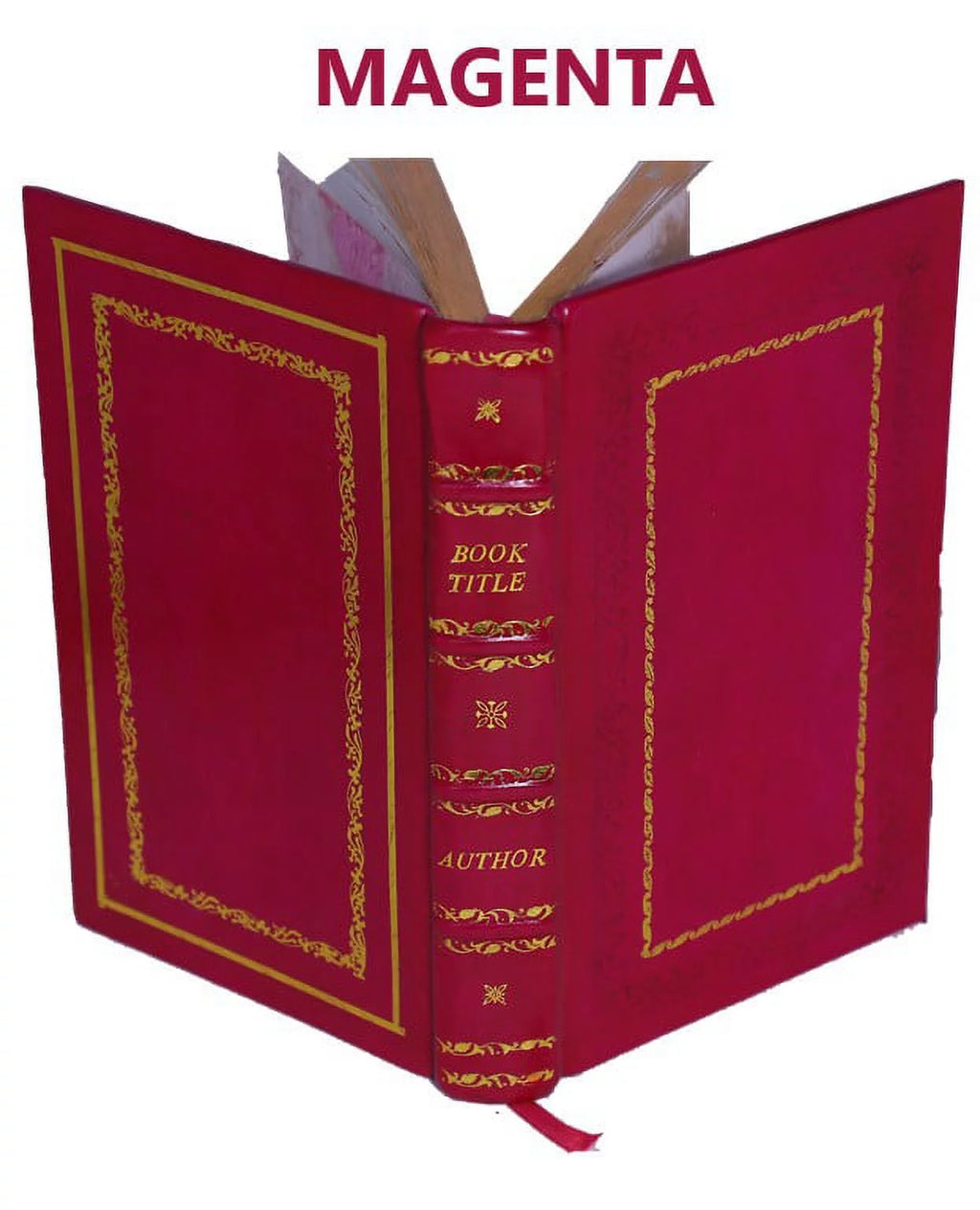 1875 Premium Leather Bound G6734