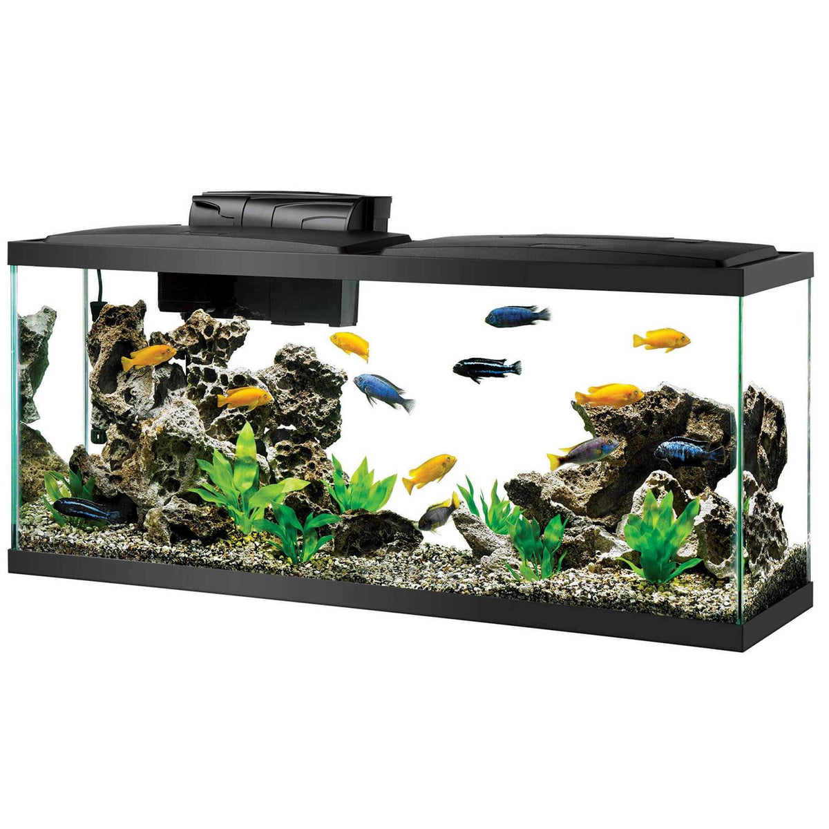 Standard Aquarium T284