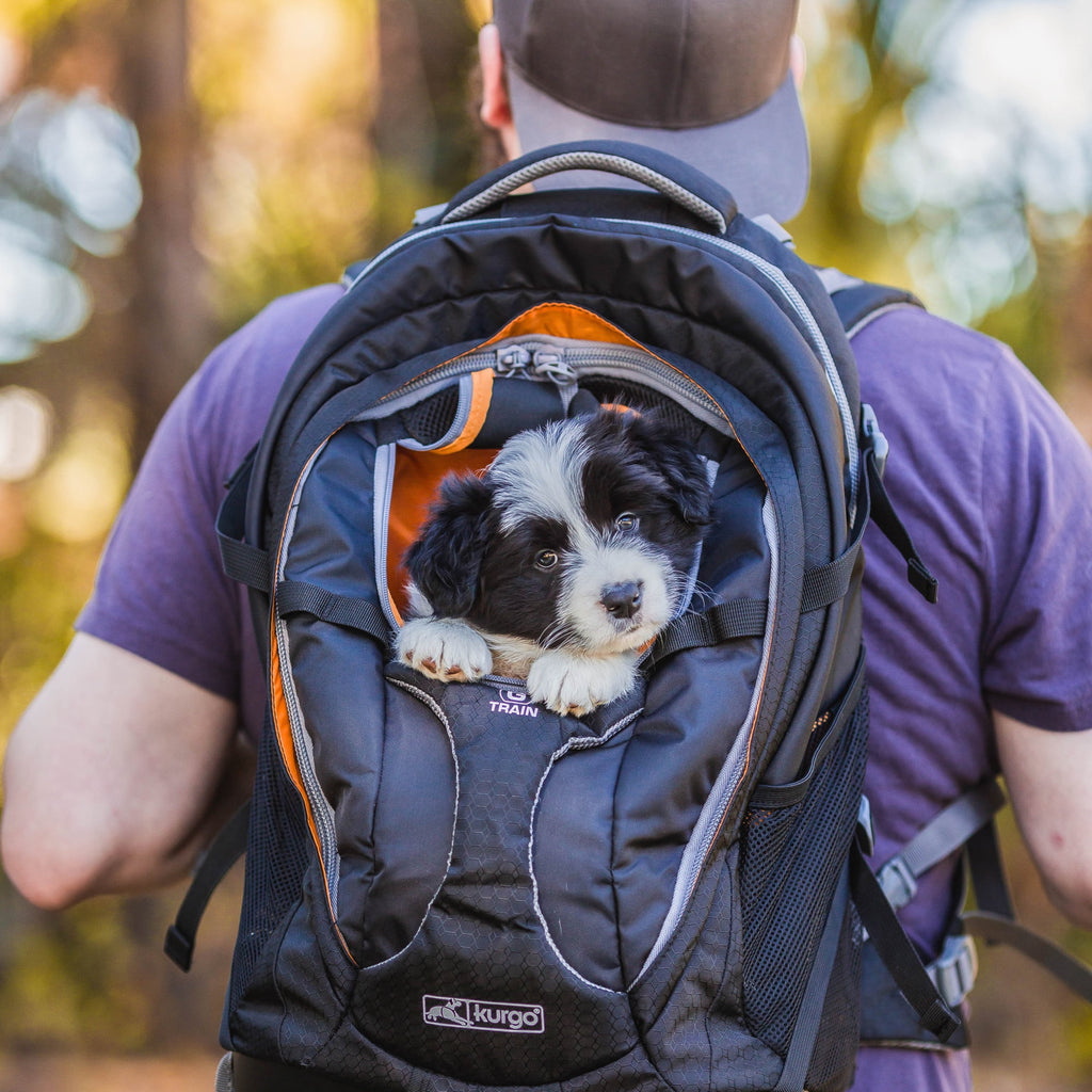 Dog Carrier Backpack with Chest Straps & Hip Belt J324055
