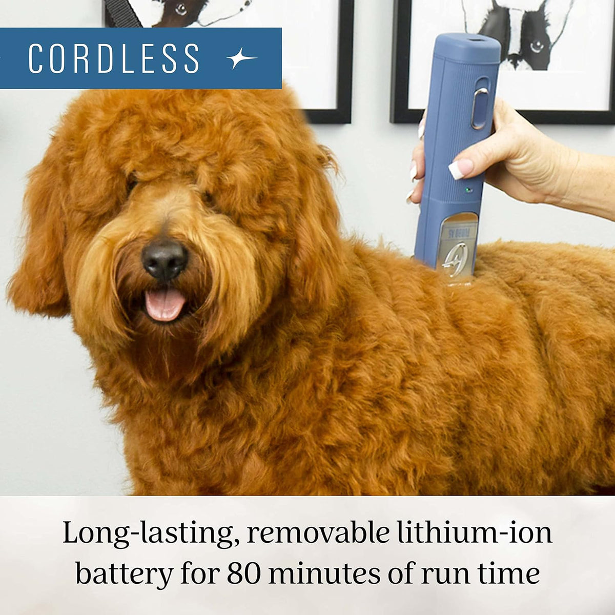Blue Cordless Animal Clipper with Detachable Blade P110