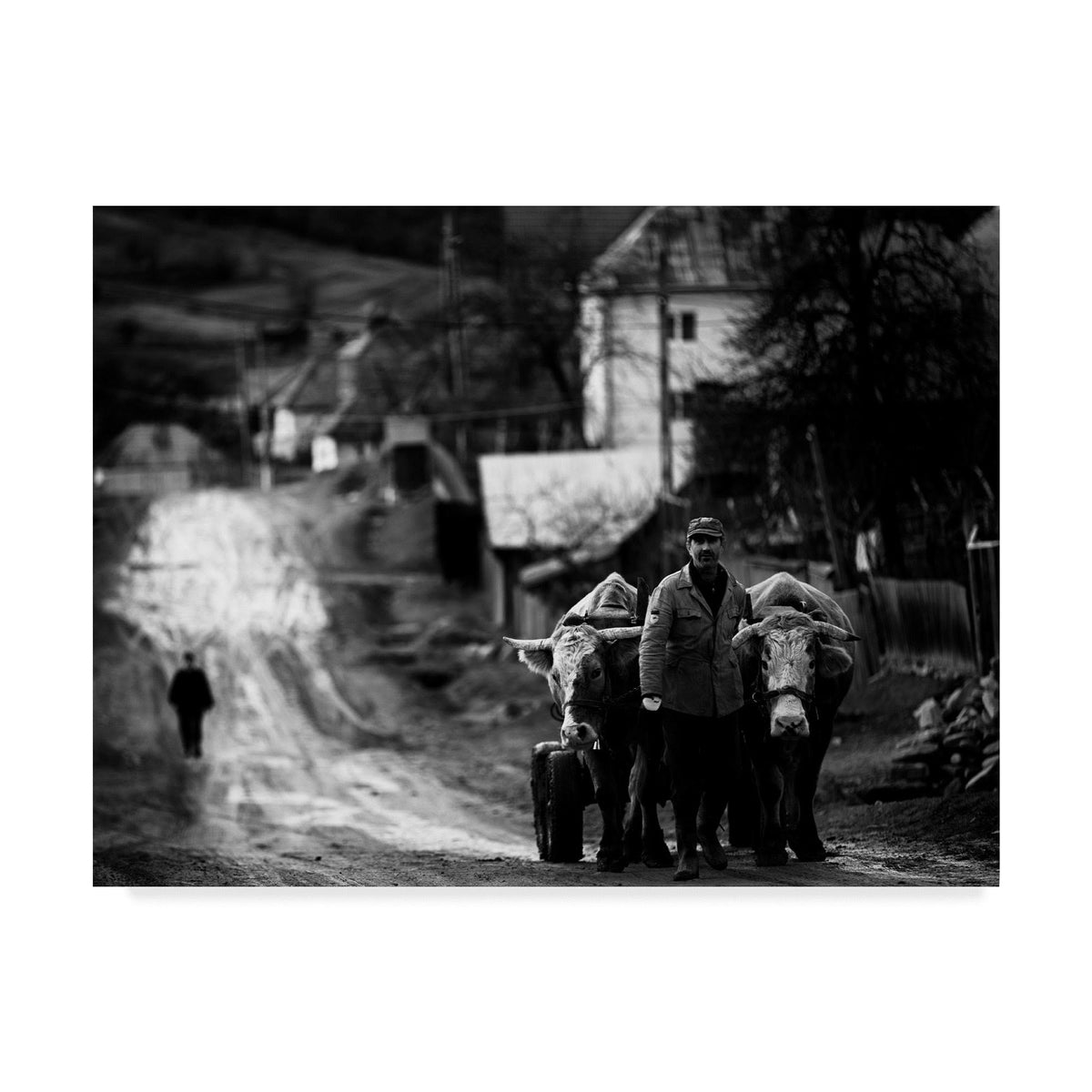 Canvas Art N2984