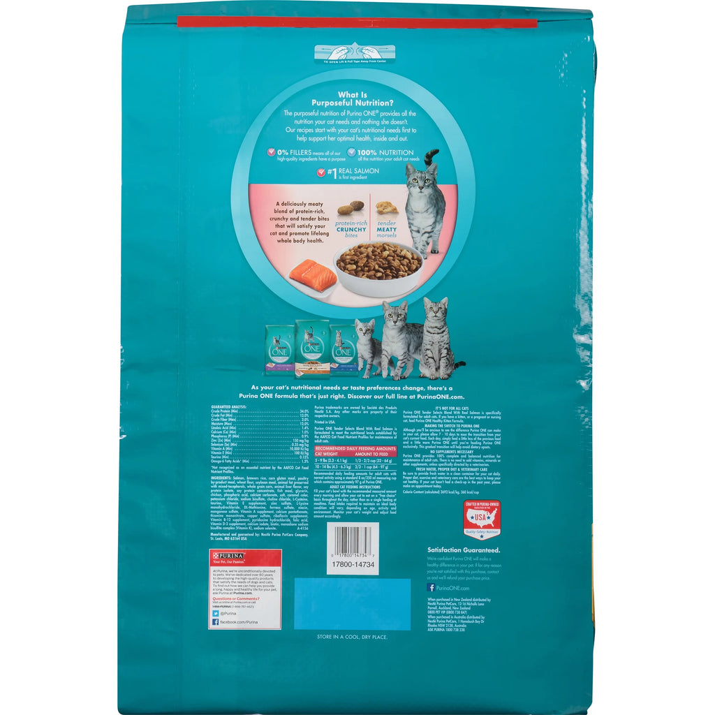 22 lb. Cat Food with Real Salmon S143