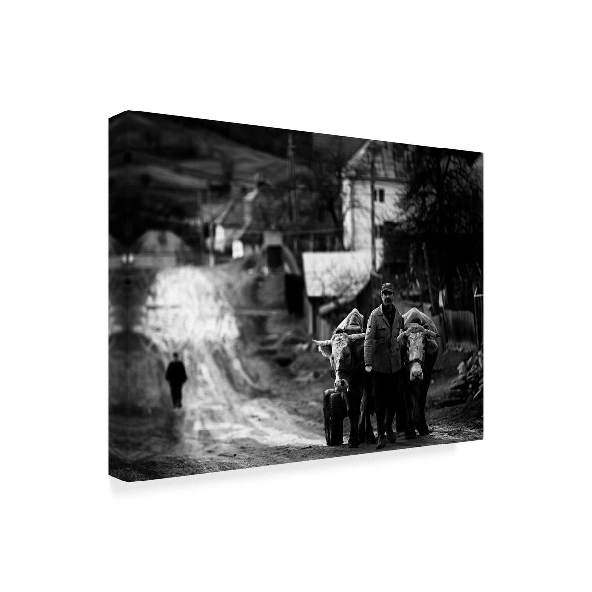 Canvas Art N2984