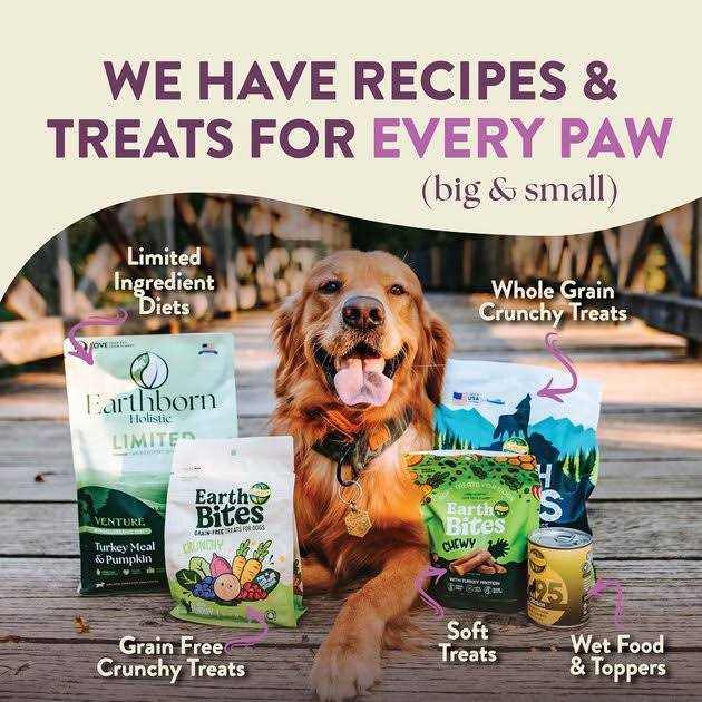 Unrefined Roasted Lamb with Ancient Grains & Superfoods Dry Dog Food O82247