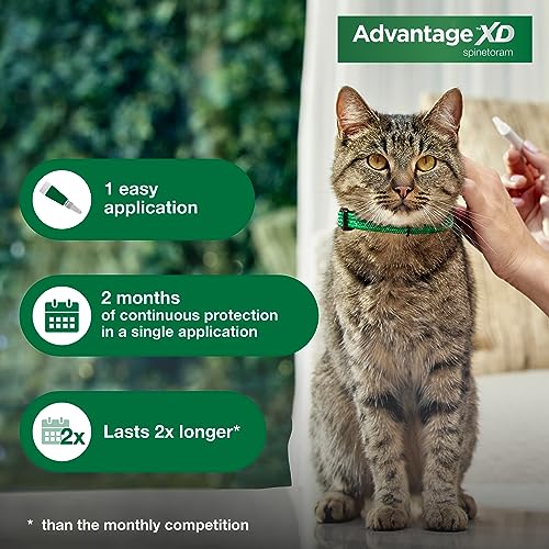 Large Cat Flea Prevention Treatment, 4 Topical Doses Z5030