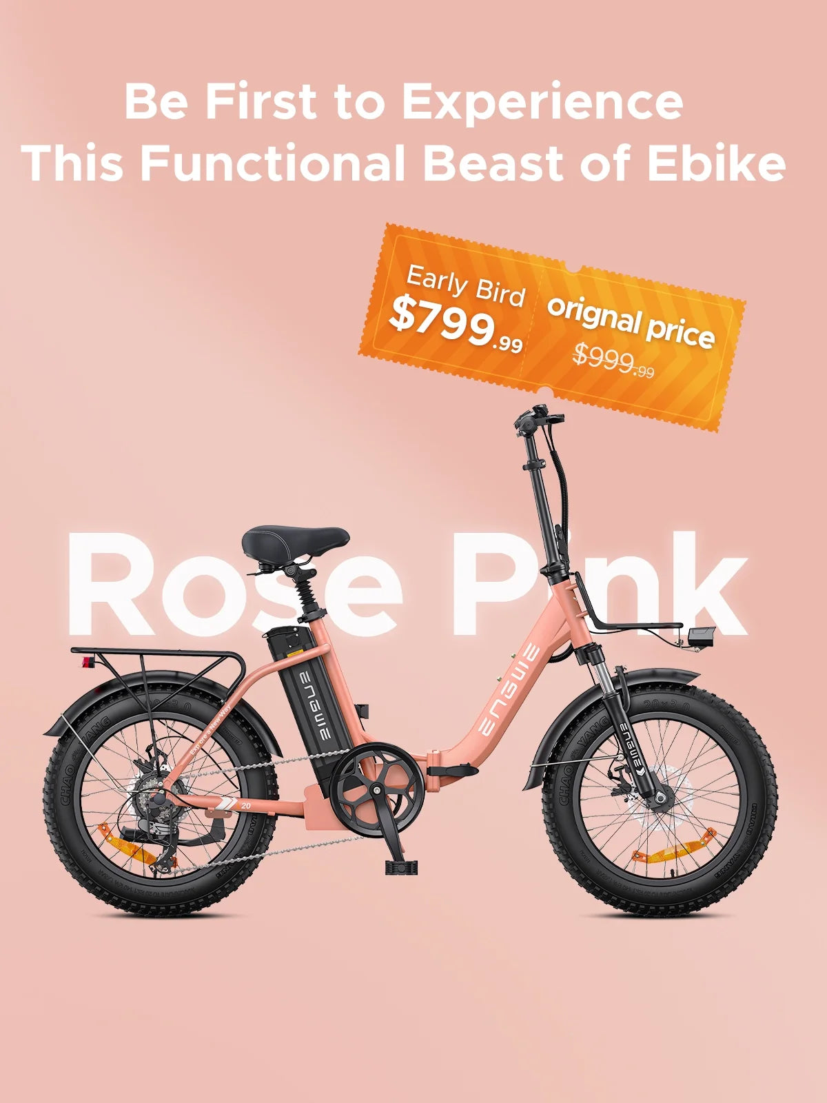 Folding Electric Bike 750W Fat Tire V425