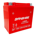 Sealed AGM Motorcycle Battery Z293463