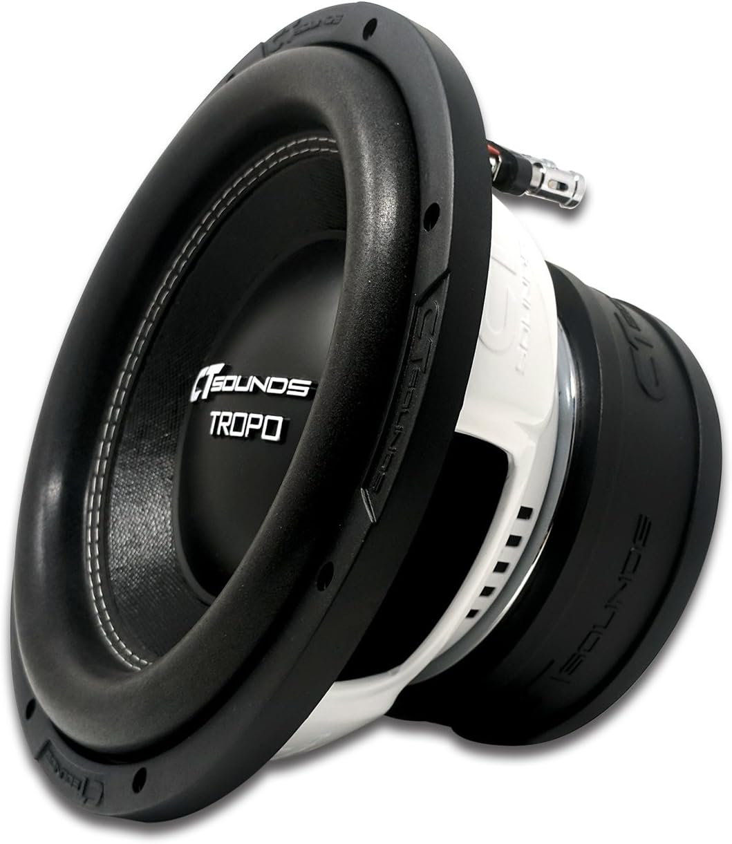 10 Inch Car Subwoofer Dual 2 Ohm R6165