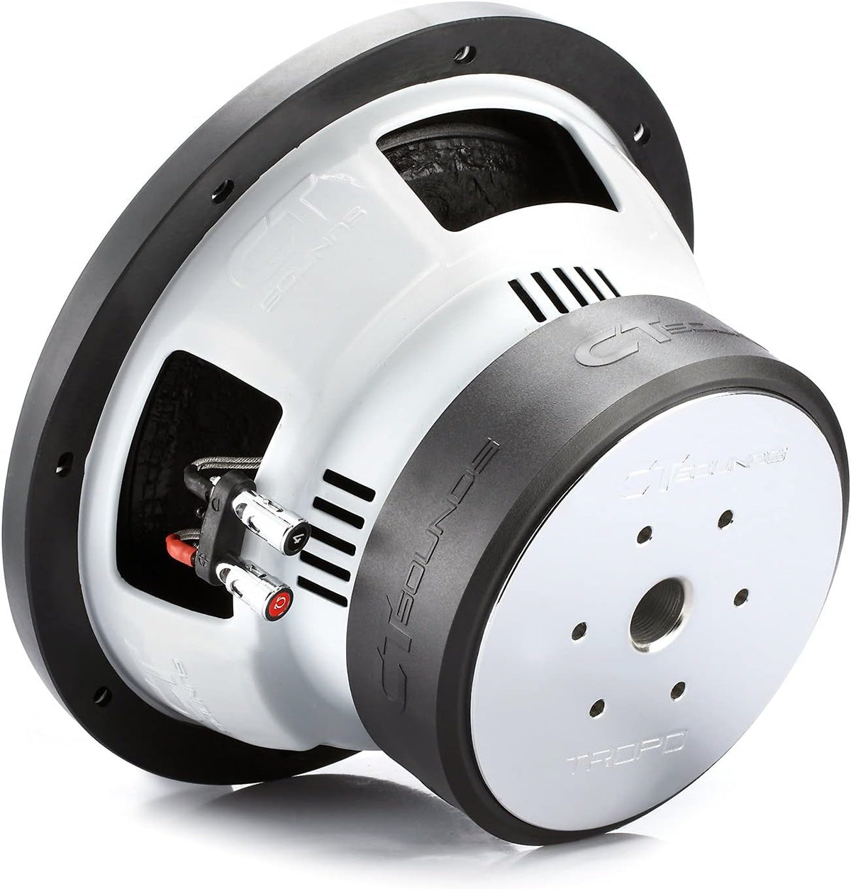 10 Inch Car Subwoofer Dual 2 Ohm R6165
