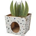Cardboard Cat House Z385