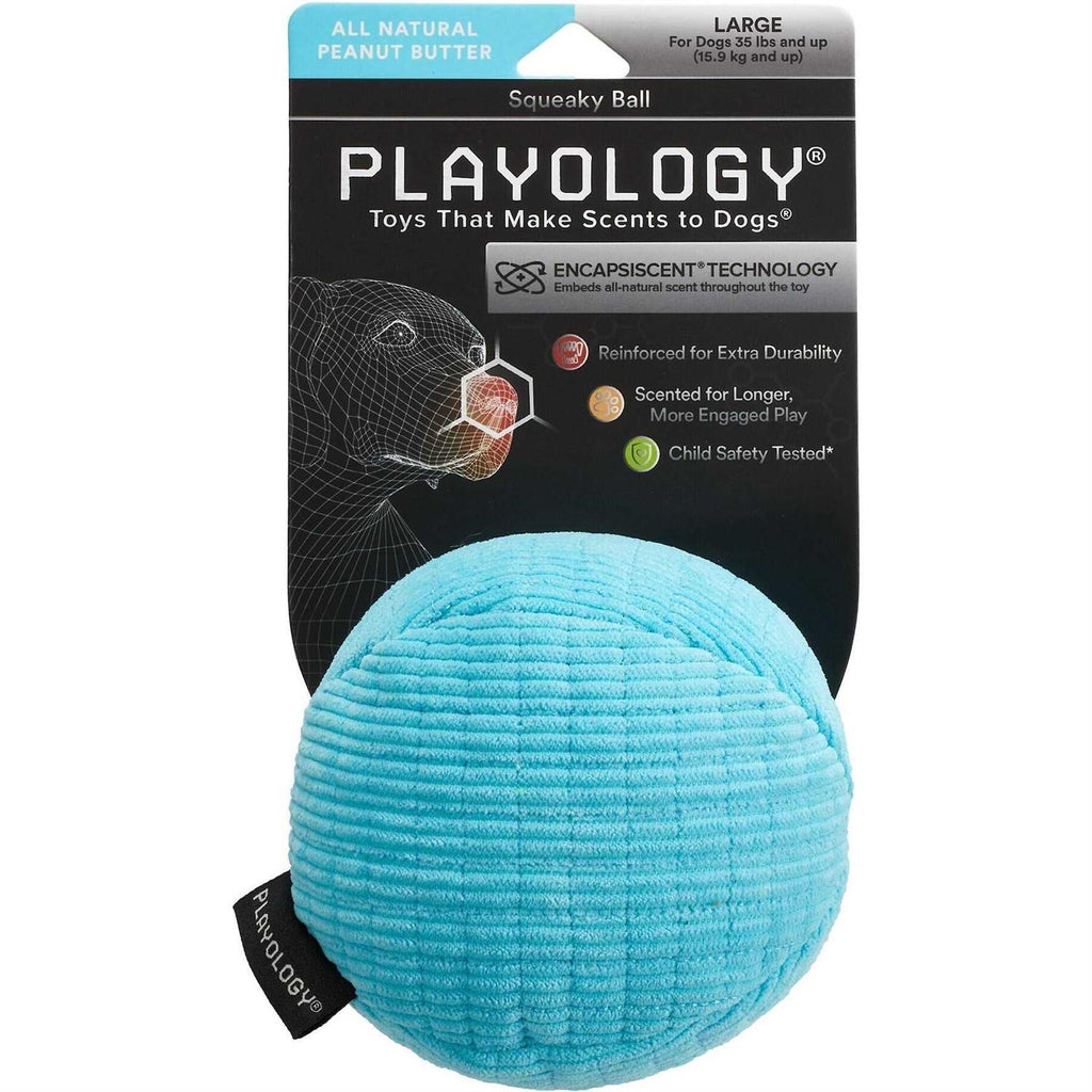 Scented Plush Dog Toy R508815