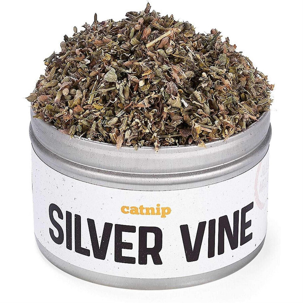 Silver Vine Catnip S273921