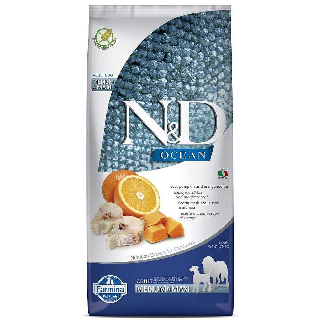 Pumpkin Lamb & Blueberry Puppy Dry Dog Food X51877