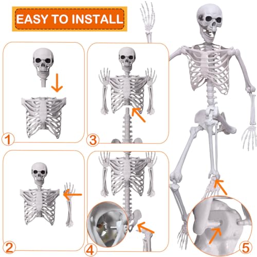 5.4Ft Life Size Skeleton with Movable Joints W1779