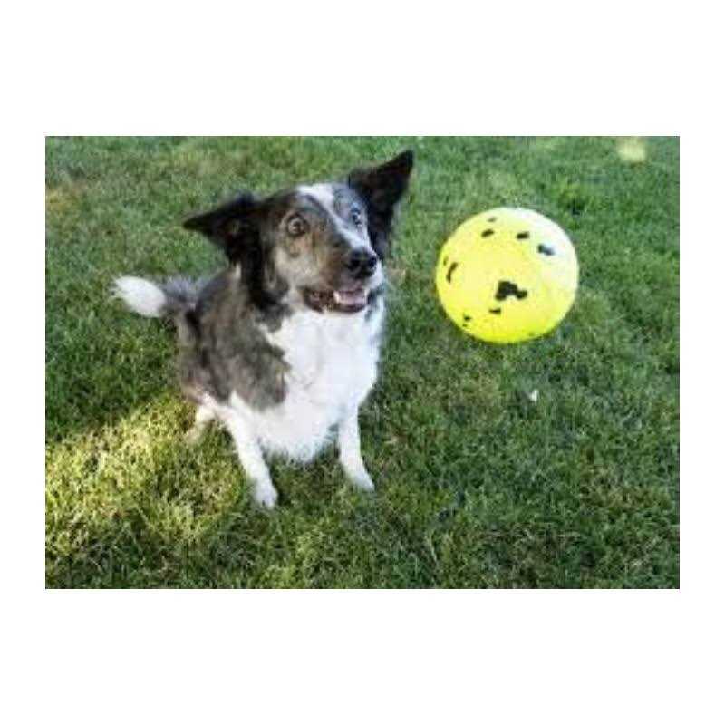 Reflex Ball Dog Toy T658
