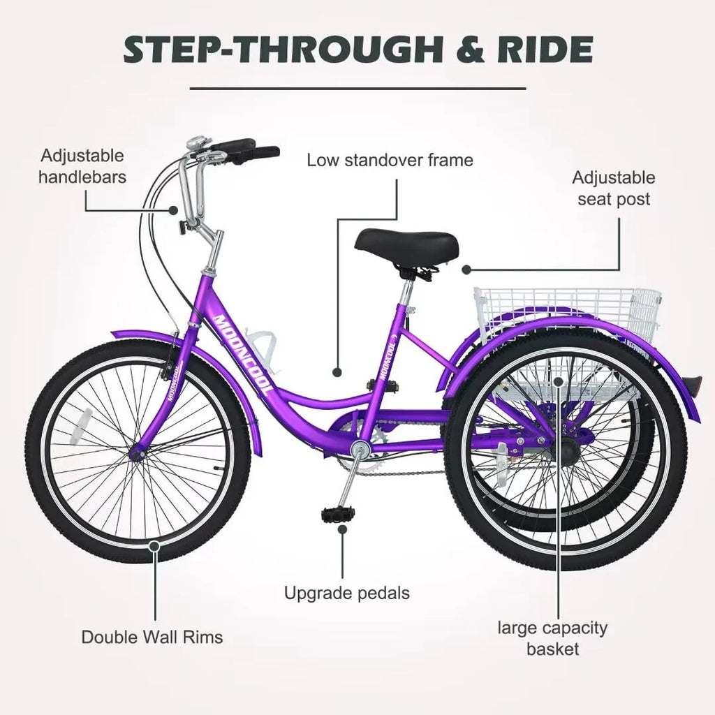 24 Inch 1 Speed Adult Tricycle X32051