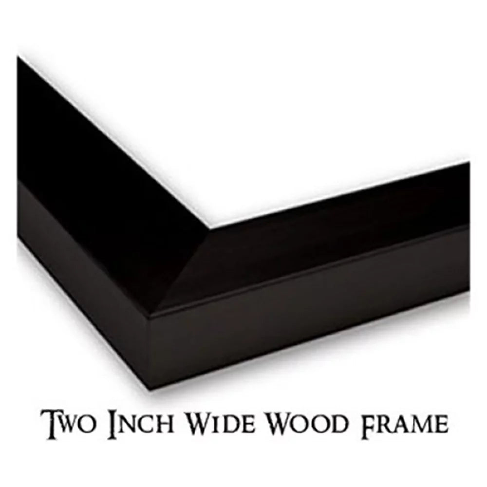 Black 18x13 Framed Art Print K900