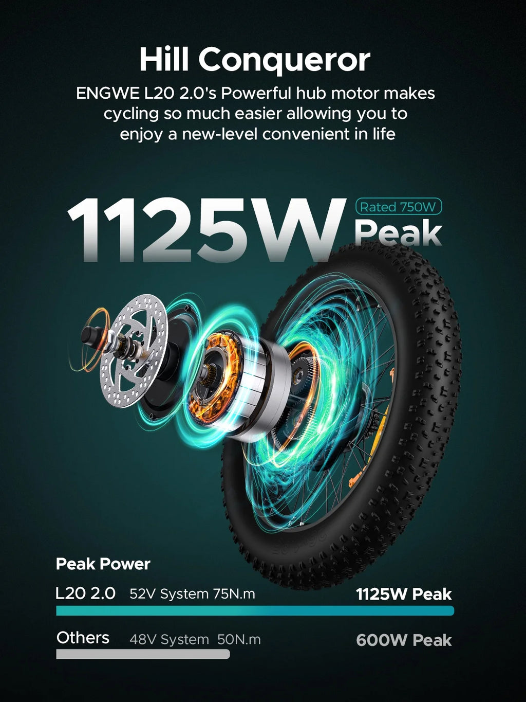 Folding Electric Bike 750W Fat Tire V425