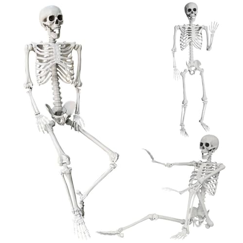 5.4Ft Life Size Skeleton with Movable Joints W1779