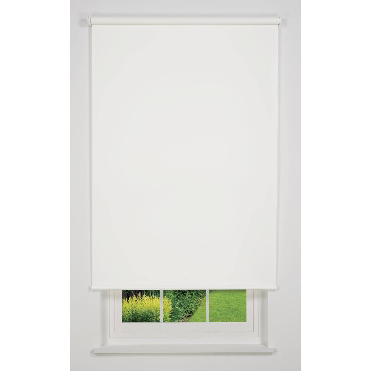 White Cordless Light Filtering Roller Shade R97964