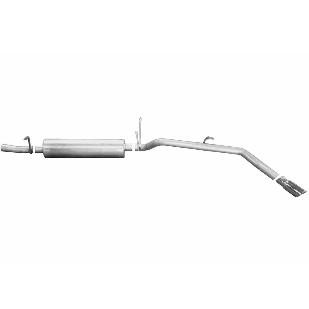 Stainless Cat-Back Dual Split Exhaust System H2418