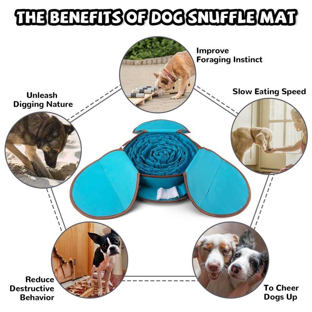 Dog Snuffle Mat H886