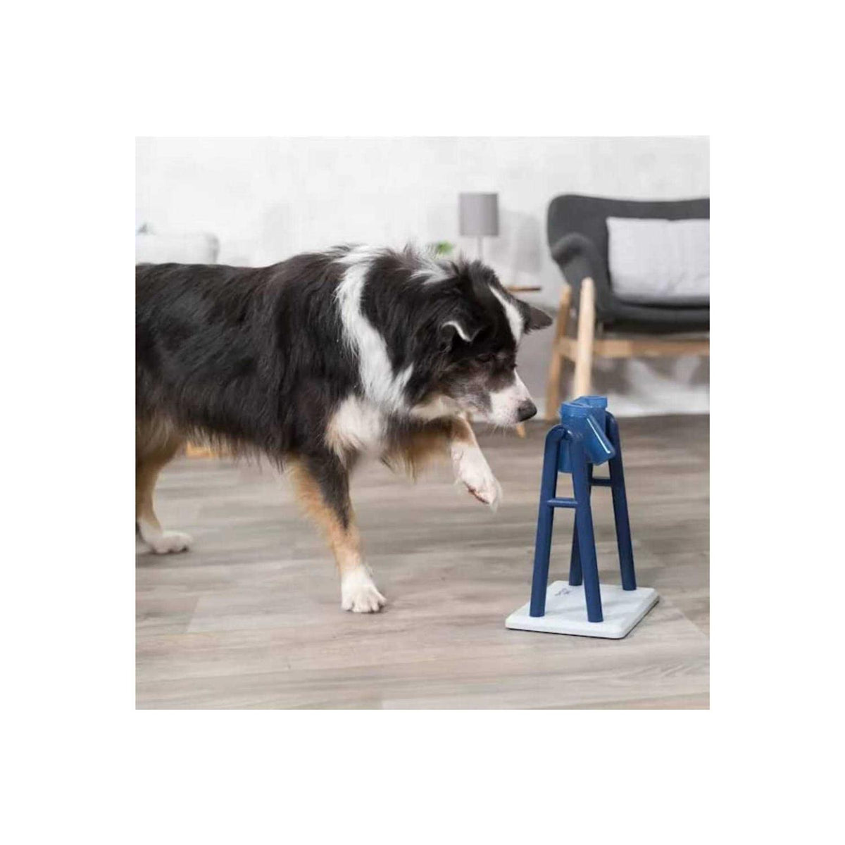 Activity Dog Toy W331