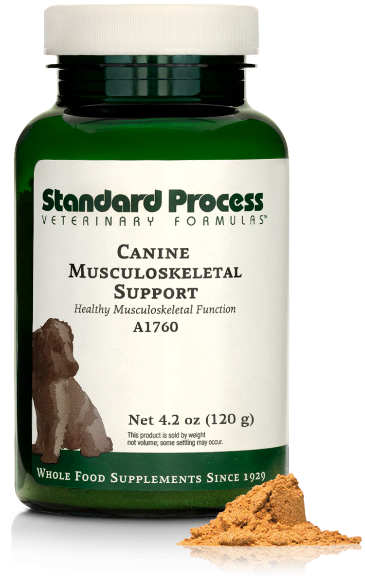 Musculoskeletal Support 4.2 oz B8677
