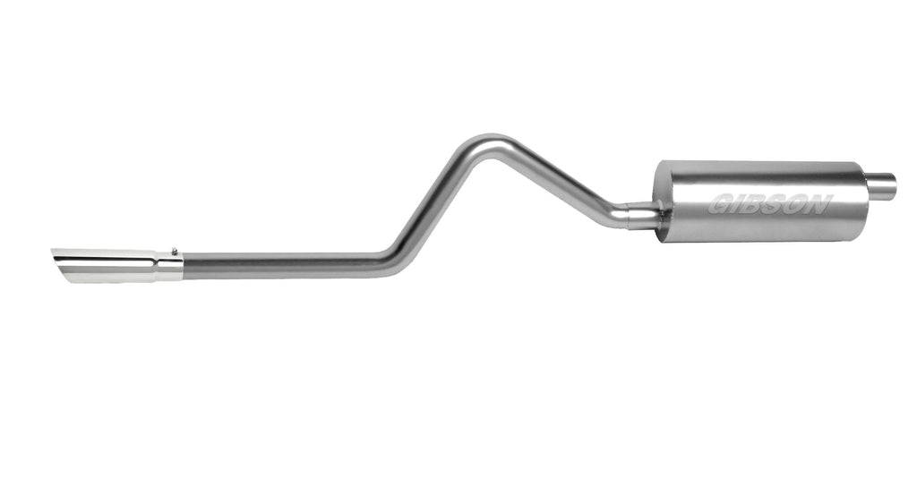 Stainless Cat-Back Dual Split Exhaust System H2418