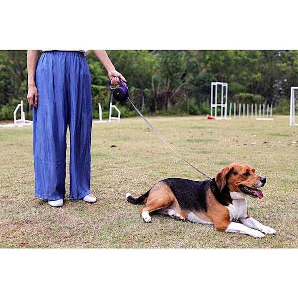 Retractable Leash N505