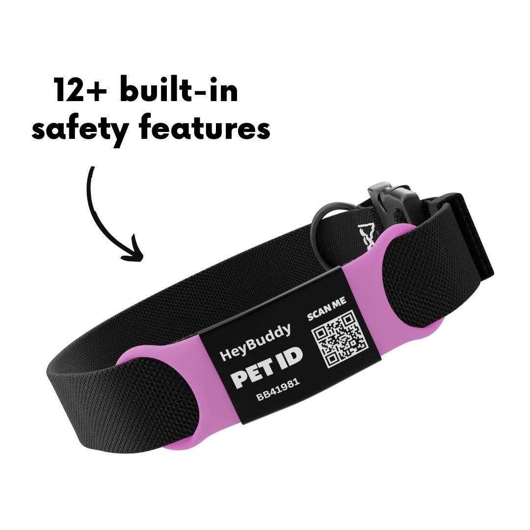 Noiseless QR Code Pet Tag V5814