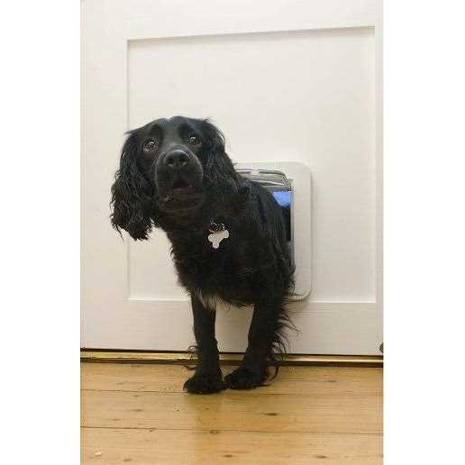 Microchip Pet Door L81518