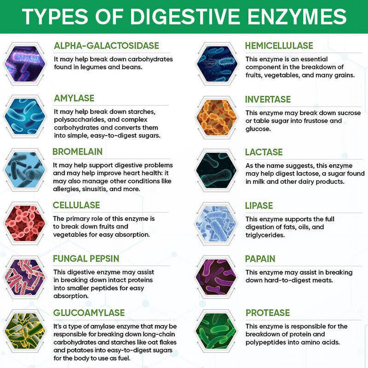 Probiotic Digestive Multi Enzymes 1200 mg 60 Capsules Q365