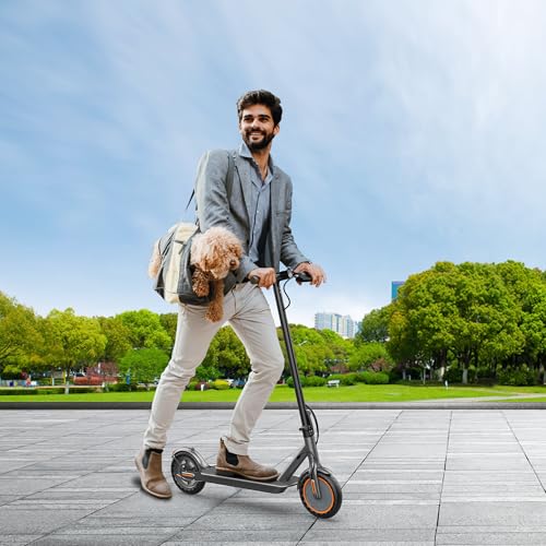 Folding Electric Scooter with Seat and 350W Motor P661
