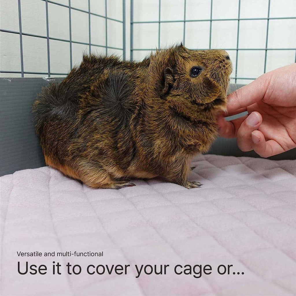 Guinea Pig Fleece Liner D91636