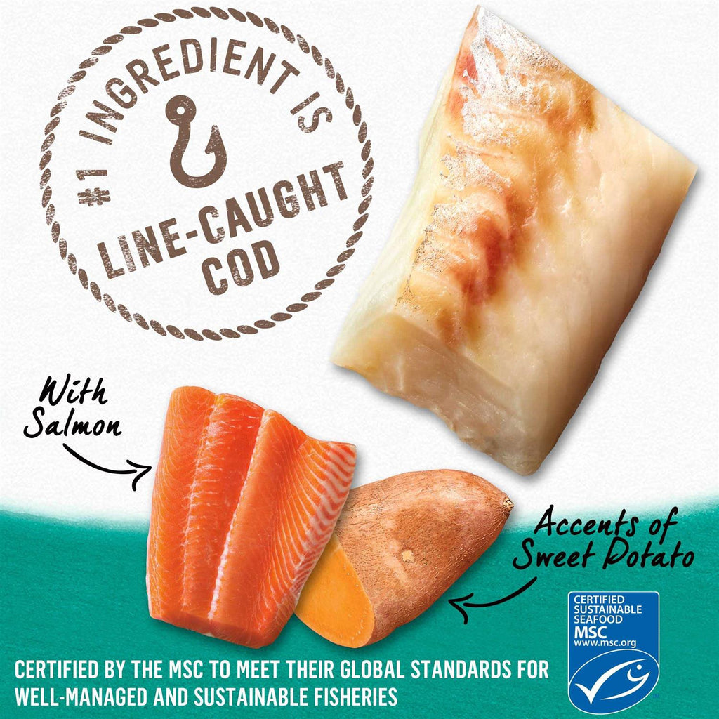Alaskan Cod Salmon & Sweet Potato Wet Dog Food Can W961