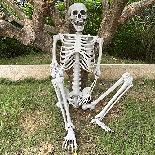 5.4Ft Life Size Skeleton with Movable Joints W1779