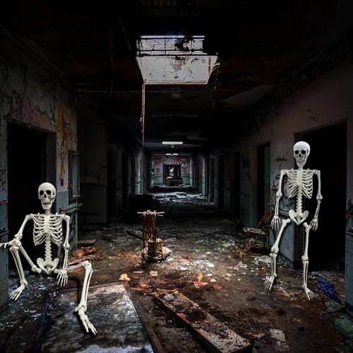 5.4Ft Life Size Skeleton with Movable Joints W1779