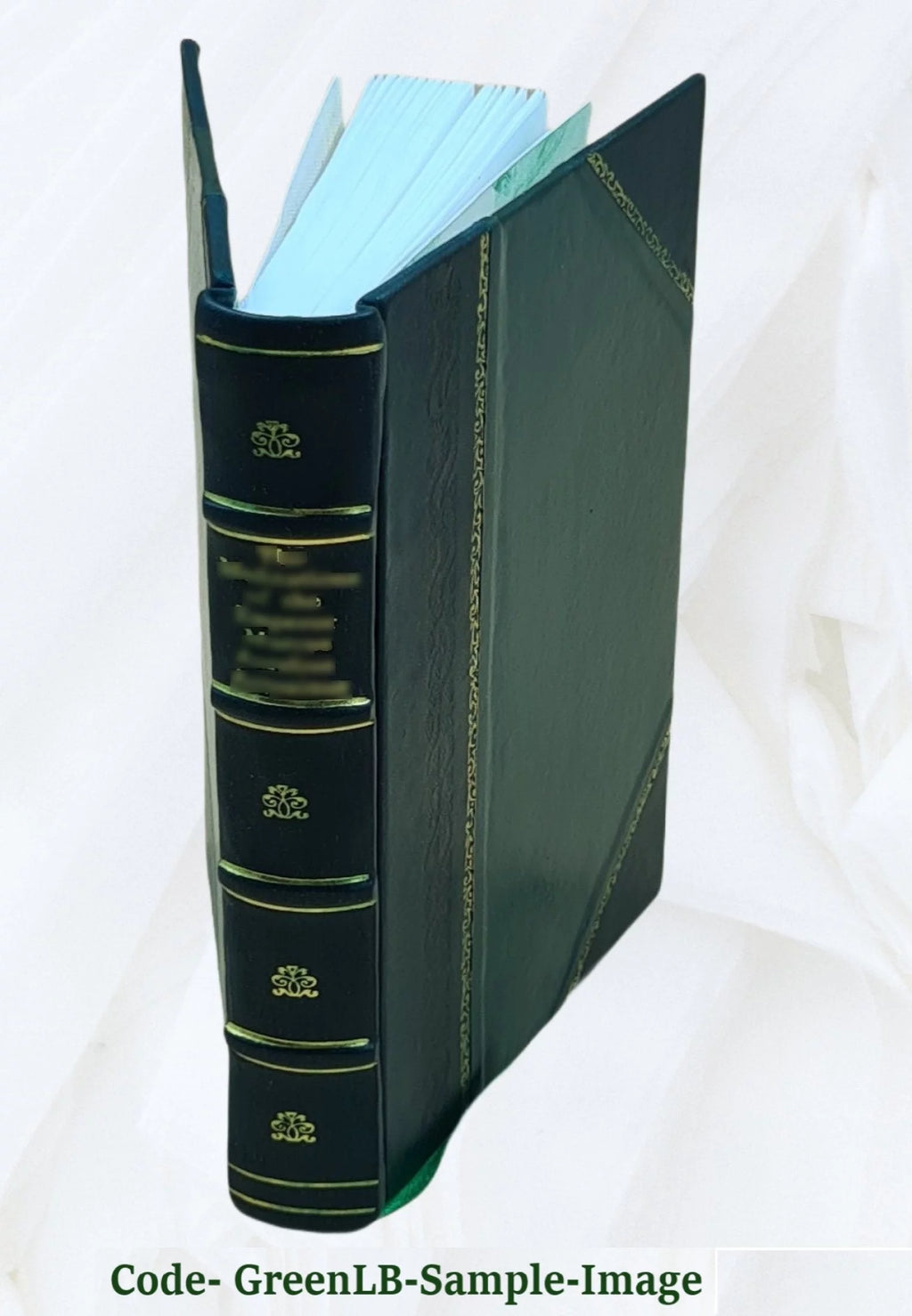 Rio de Janeiro Piauhy Travel Impressions Leather Bound C3450