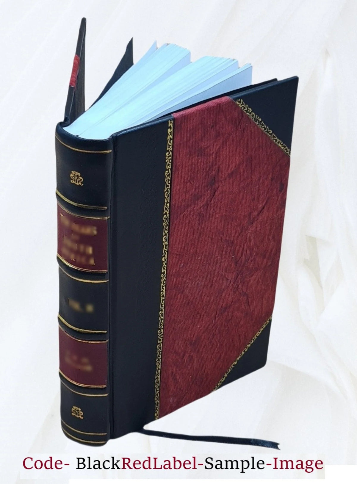 Leather Bound J79209